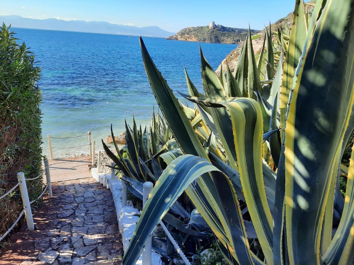 Zenflamingo Mini Monolocale Leilighet Cagliari Eksteriør bilde